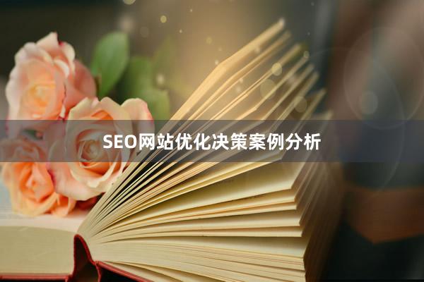 SEO网站优化决策案例分析